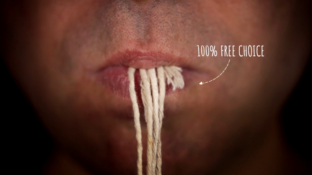 Pull par R. Paul Wilson