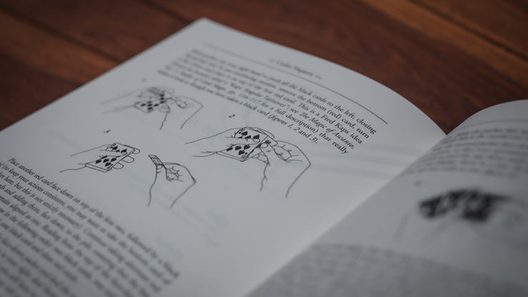 Illusioneer by Carlos Vaquera*