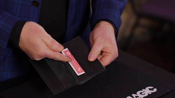 Portefeuille Pro 4, gadgets et instructions en ligne par Gary James, en vente