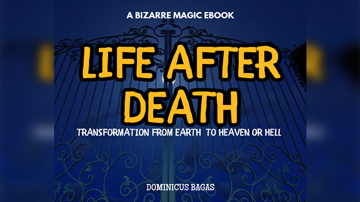 Life After Death by Dominicus Bagas - ebook