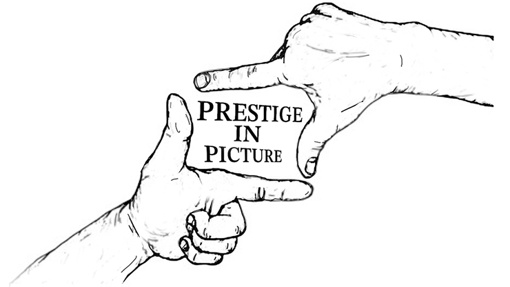 Prestige In Picture by Landon Stark - ebook