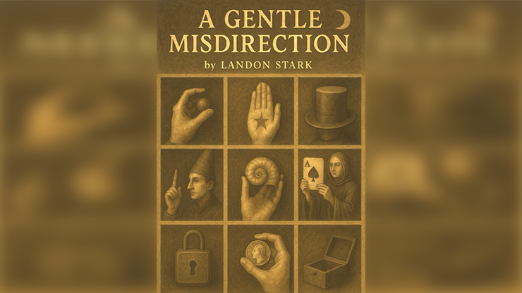A Gentle Misdirection by Landon Stark - ebook
