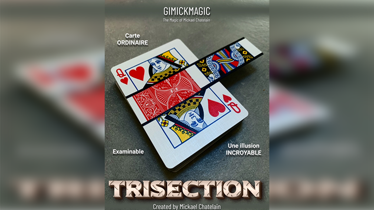 TRISECTION (Blue) Mickael Chatelain
