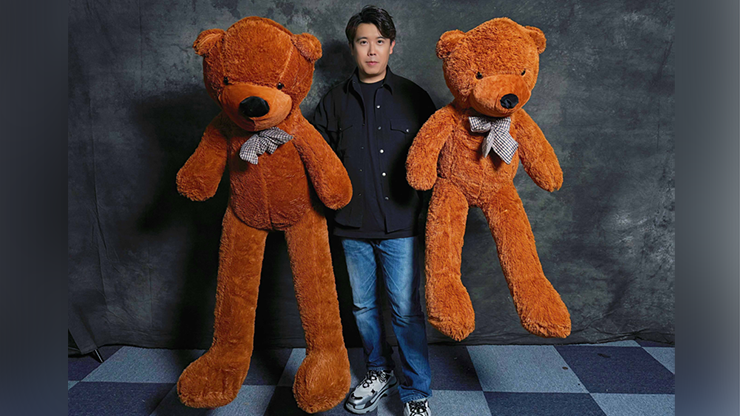 Teddy Bear Appearance (Medium) by MS Magic