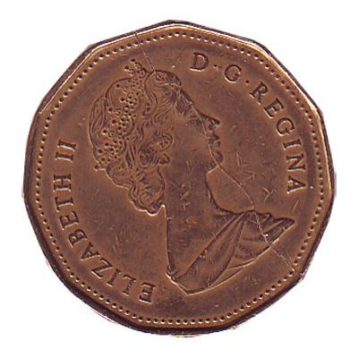 Coin Bite, Canadian Dollar/Loonie