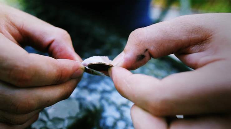 Dance Lessons by Chris Wiehl - Video Download