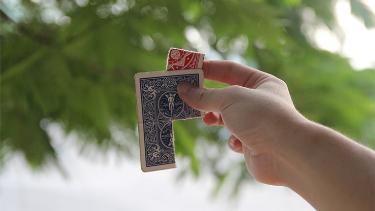 Frankenstein by Boiledz - Magic Heart Team - Video Download