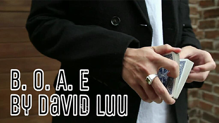 Blink Of An Eye by David Luu - Video Download