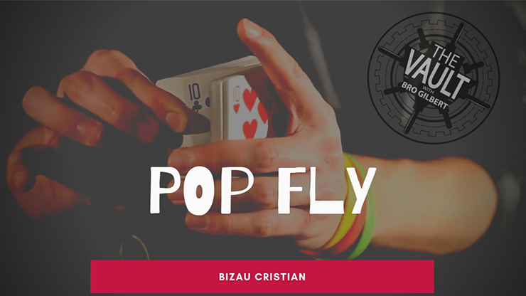The Vault - Pop Fly by Bizau Cristian - Video Download