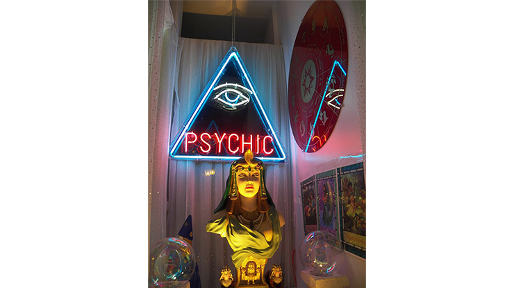 Private Medium & Fortune Tellers Secret Psychic Cold Reading Notebooks by Nathan Demdyke - Mixed Media Download