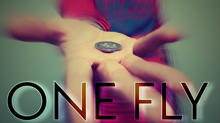 One Fly by Alessandro Criscione - Video Download