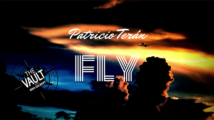 The Vault - Fly by Patricio Teran - Video Download