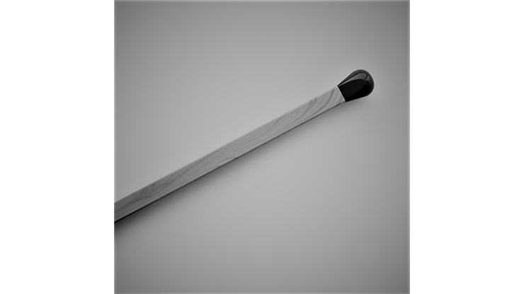 Regeneration by Sultan Orazaly - Video Download