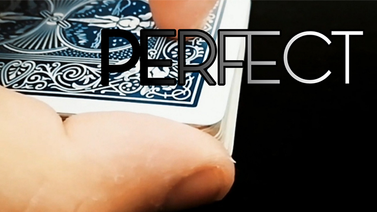 Perfect by Alessandro Criscione - Video Download