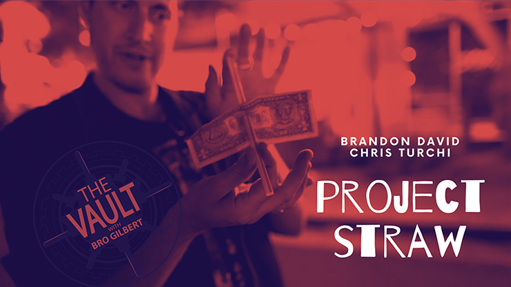 The Vault - Project Straw by Brandon David & Chris Turchi - Video Download