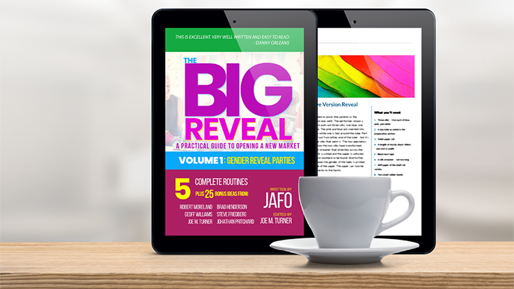 The Big Reveal: A Practical Guide to Opening a New Market Volume 1 - Gender Reveal Parties by Jafo - ebook