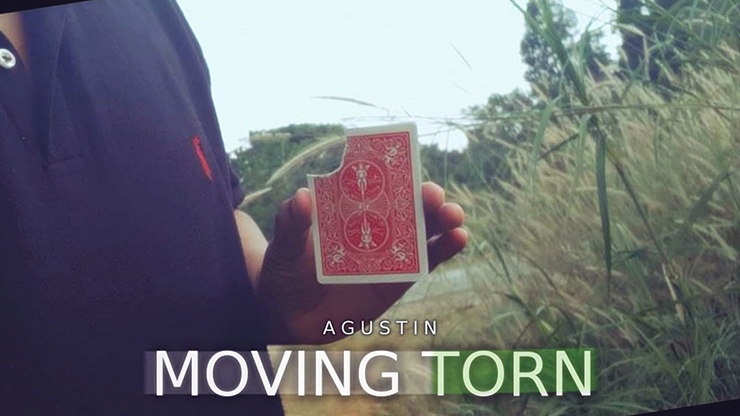 Moving Torn by Agustin - Video Download