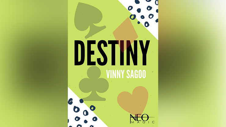 Destiny by Vinny Sagoo - ebook