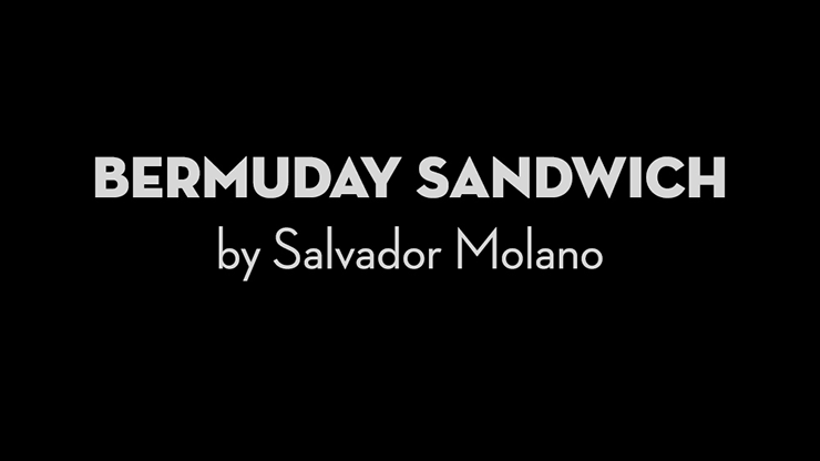 Bermuday Sandwich by Salvador Molano - Video Download