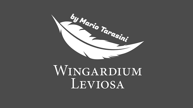 Wingardium Leviosa by Mario Tarasini - Video Download