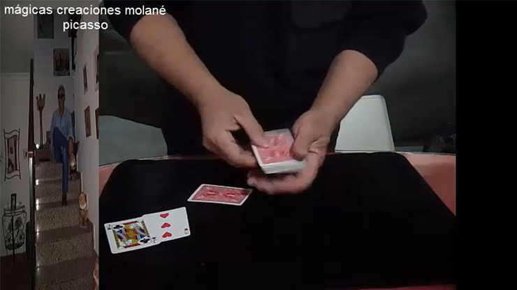 Picasso by Salvador Molano - Video Download