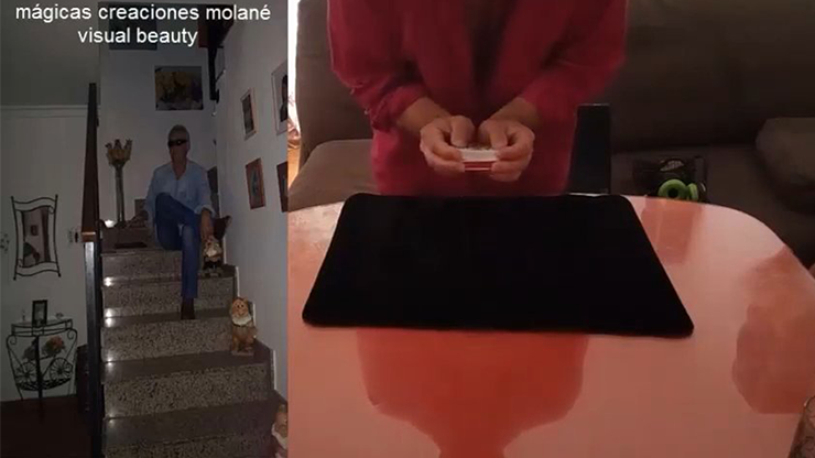 Visual Beauty by Salvador Molano - Video Download