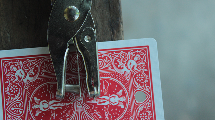 Firefly by Arnel Renegado - Video Download