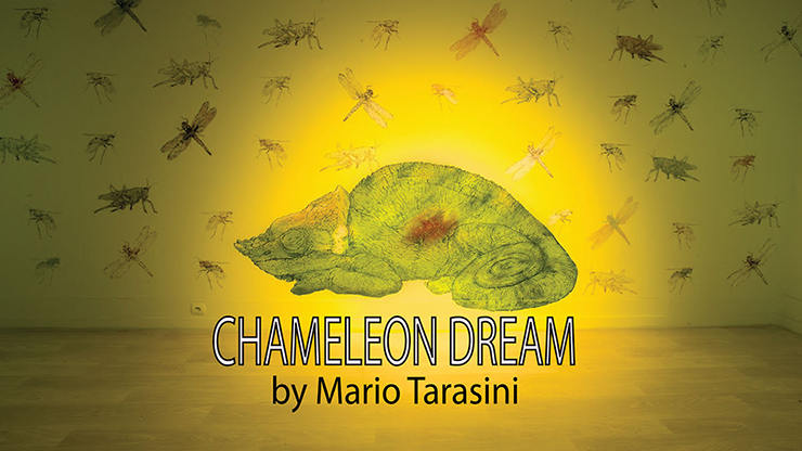 Chameleon Dream by Mario Tarasini - Video Download