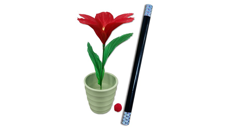 Magic wand with 2025 flowers