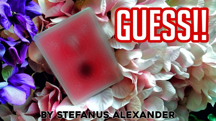 GUESS by Stefanus Alexander - Video Download