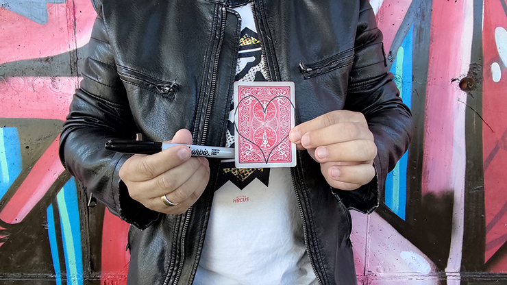 Surprise Proposal by Patricio Teran - Video Download