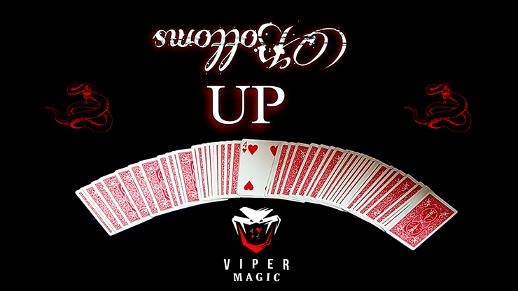 Bottoms UP by Viper Magic - Video Download