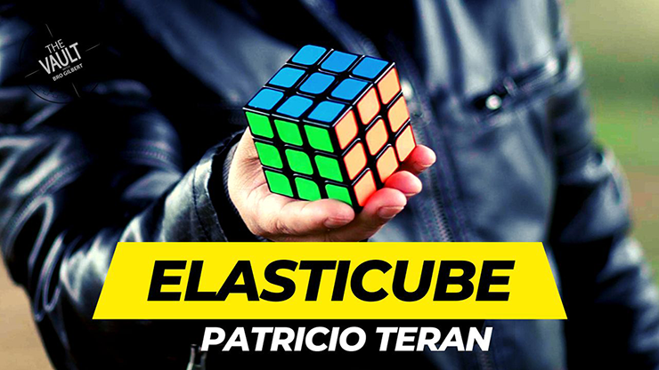 The Vault - Elasticube by Patricio Teran - Video Download