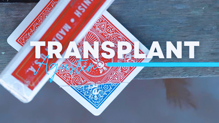 Transplant by Agustin - Video Download