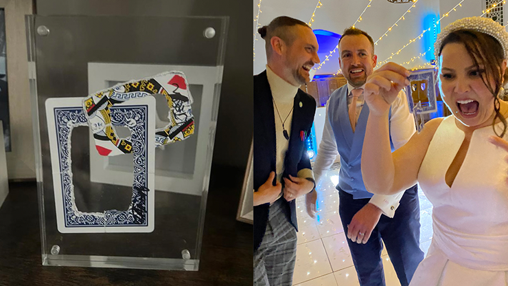 RINGS by Ben Williams -- Video Download