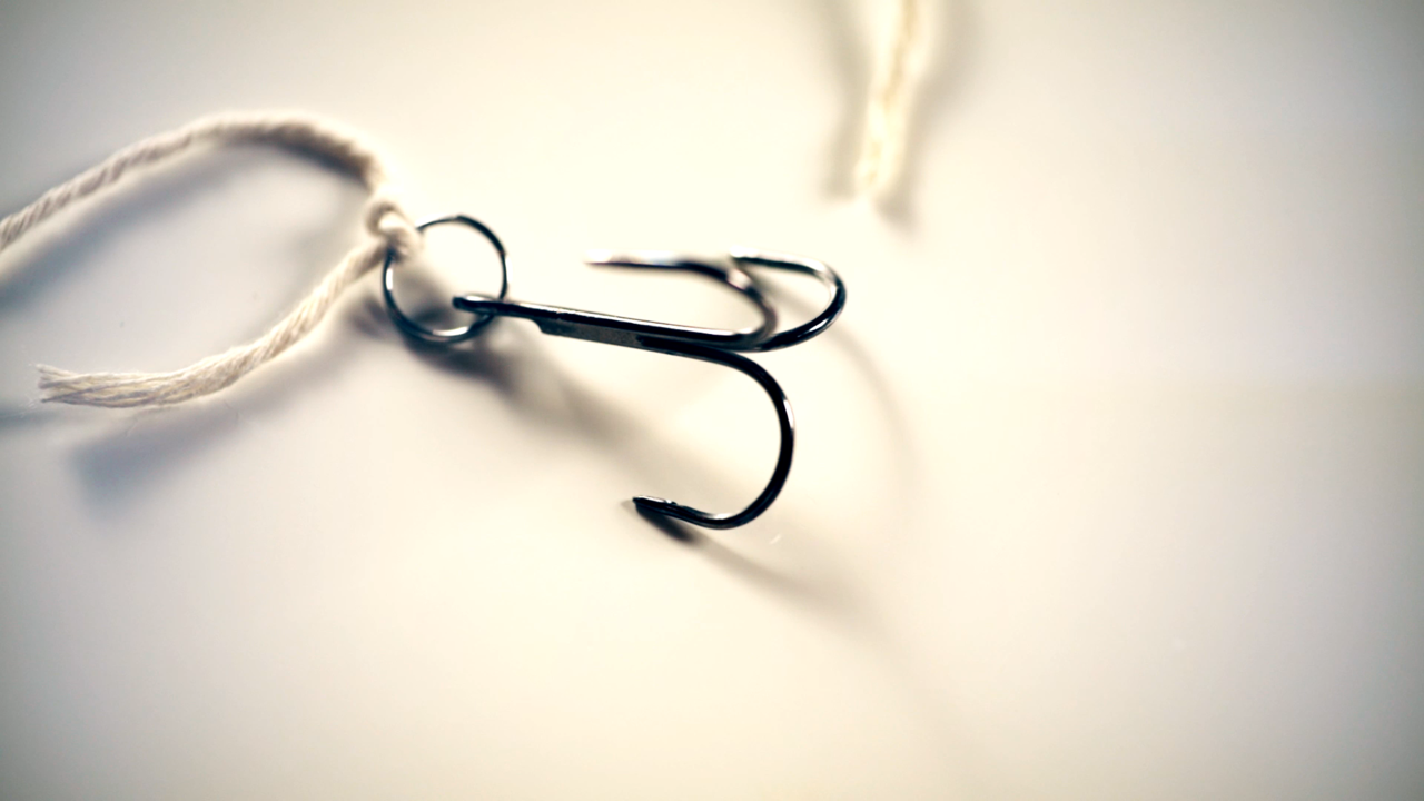 Pull par R. Paul Wilson