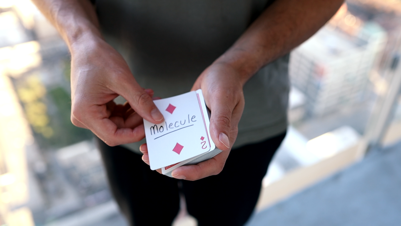 Pull par R. Paul Wilson