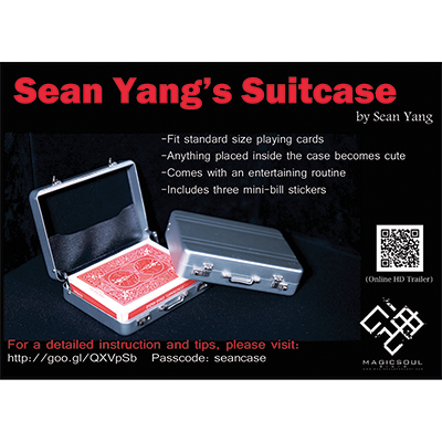 Suitcase by Sean Yang and Magic Soul