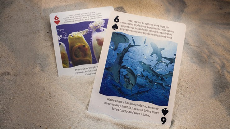 Bicycle Sharks Playing Cards by US Card Magic