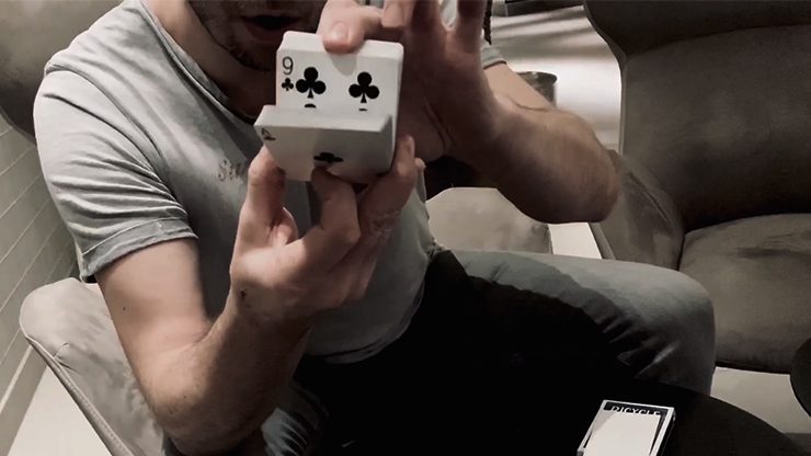 Houdinis Last Trick, Gimmicks and Online Instructions by Peter Eggink*