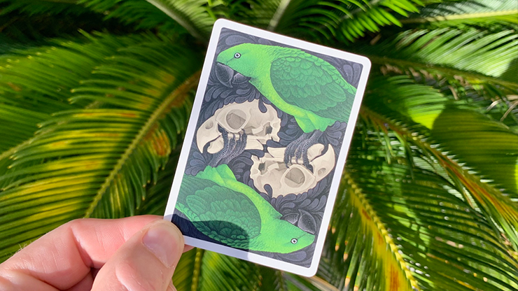 Bicycle Parrot Extinct Playing Cards*