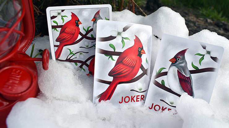 Cartes à jouer cardinaux par Midnight Cards