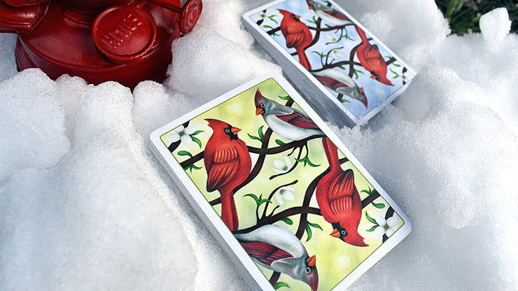 Cardinals Euchre Playing Cards by Midnight Cards, on sale