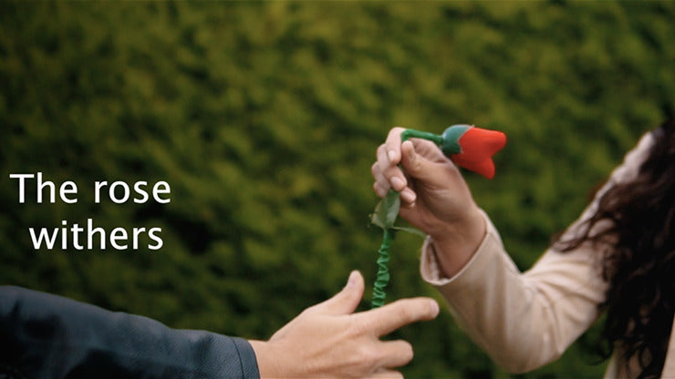 DROPPING FLOWER de Mago Rigel &amp; Twister Magic, en vente