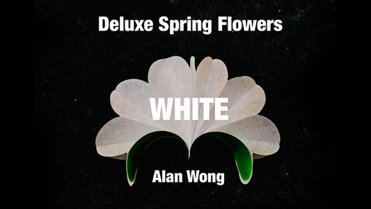 Fleurs de printemps de luxe BLANC par Alan Wong*