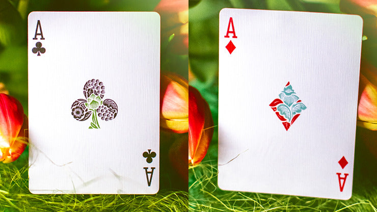 Butterfly Seasons Playing Cards Marked, Spring by Ondrej Psenicka