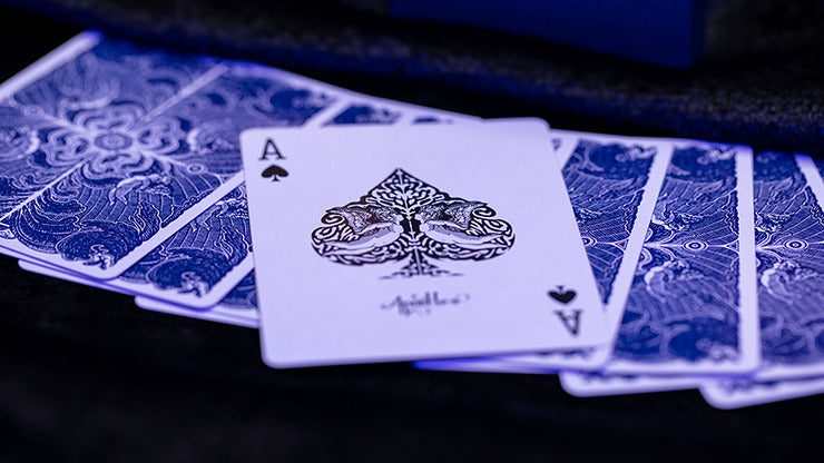 Apostles Playing Cards, Deck and Online Instructions by Luke Jermay*