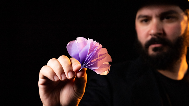 SPRING FLOWERS (2 PK PAPER) by Murphy's Magic