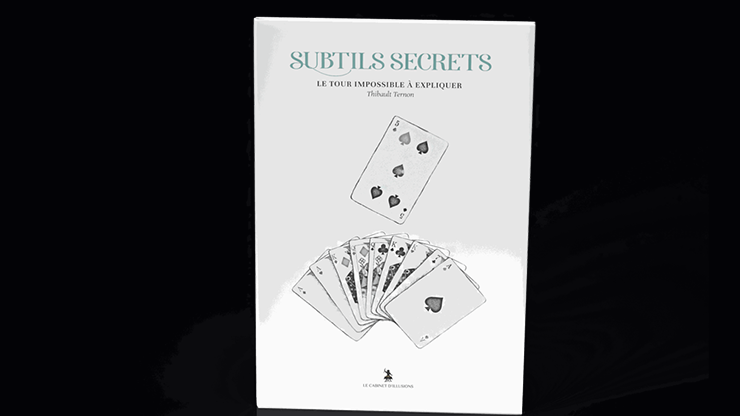 Subtle Secrets 2 by Thibault Ternon