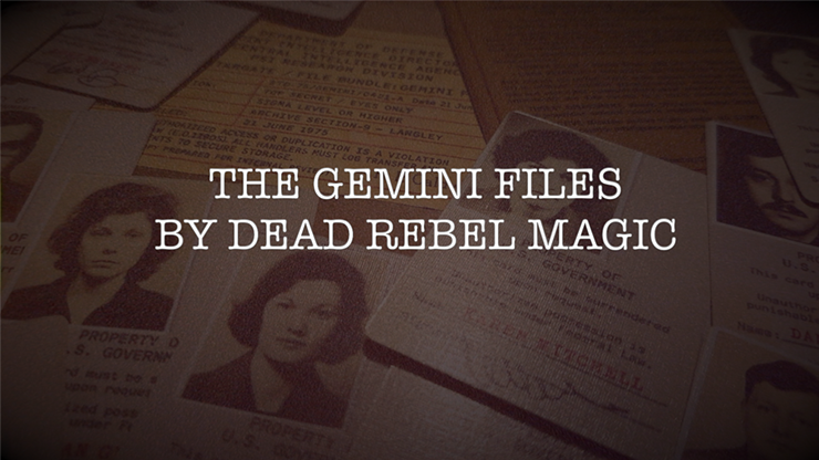 Gemini Files by Dead Rebel Magic